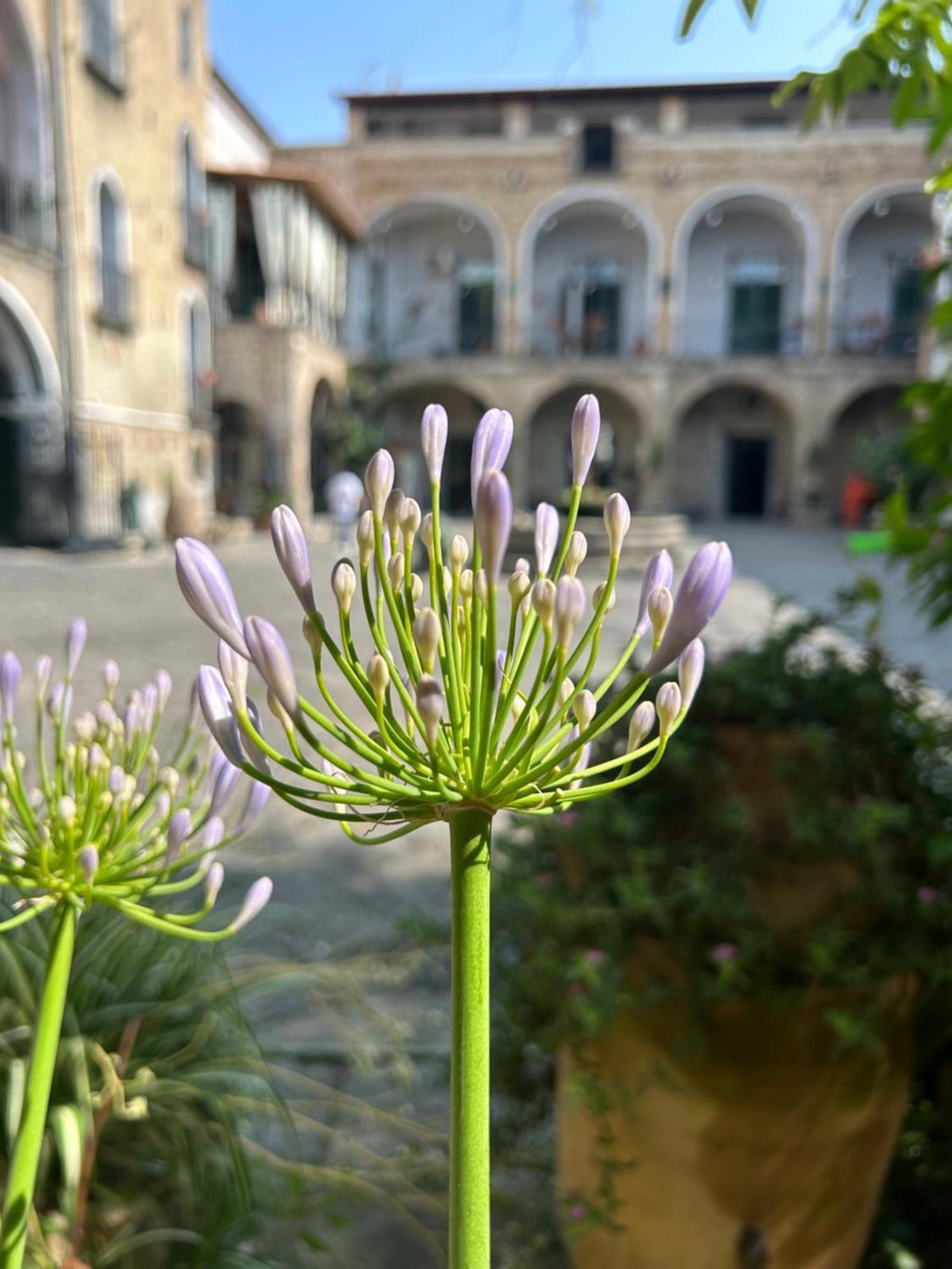 Palazzo Capece Διαμέρισμα Caivano Εξωτερικό φωτογραφία